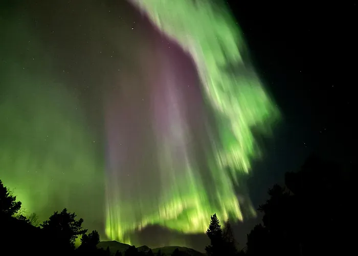 Welcome Lyngskroa Oteren